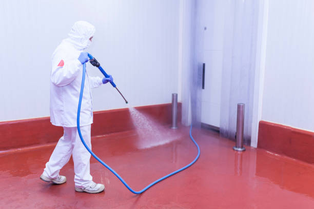 Best Driveway Pressure Washing  in Lake Murray Of Richland, SC